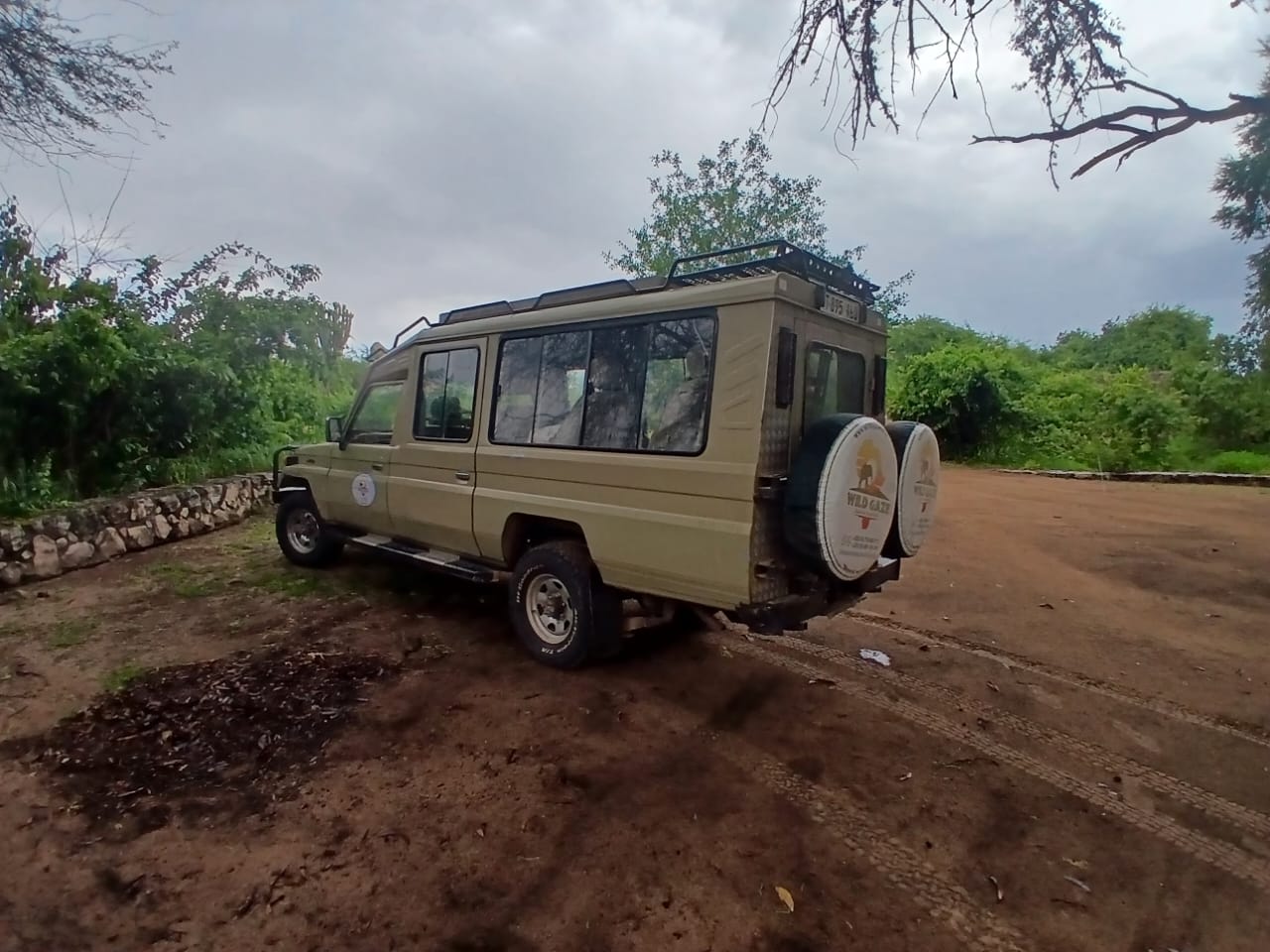 Memorable safari moment with Wild Gaze