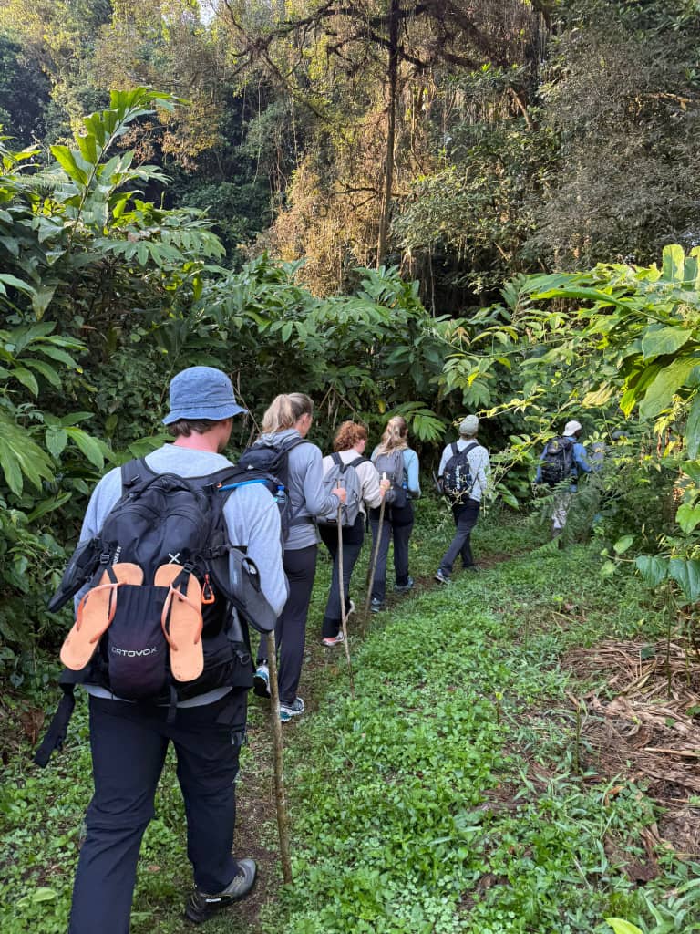 11 Days Kilimanjaro Machame Climb & Northern Safari