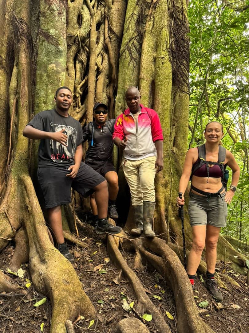 Walking Safari with Game Drive