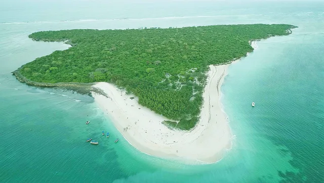 Mbudya Island Day Trip