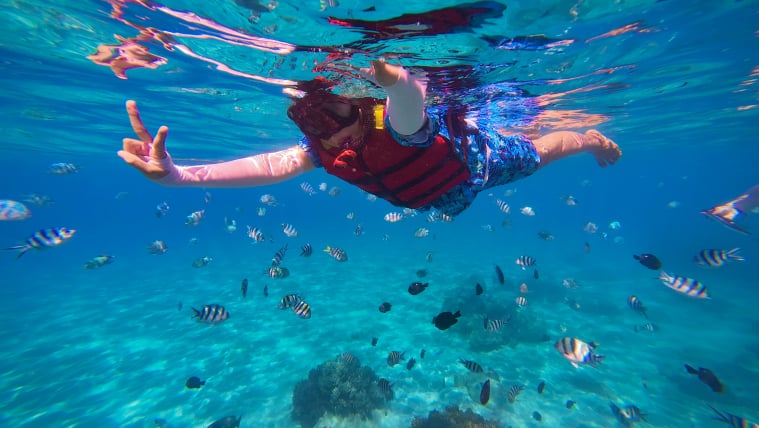 Scuba diving Zanzibar reef