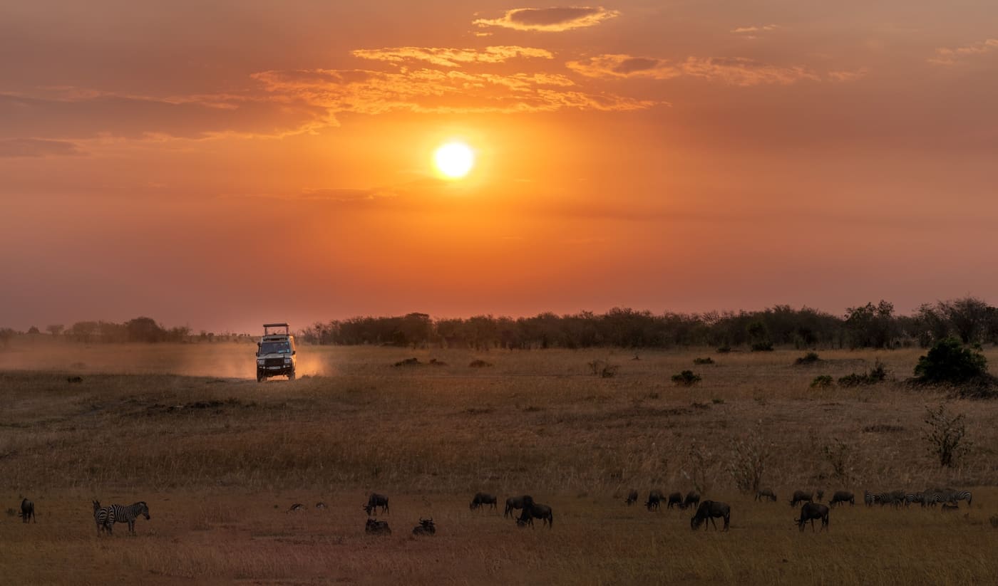Contact Wild Gaze Safaris in Iringa, Tanzania