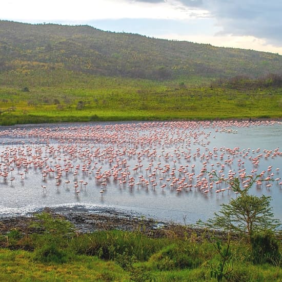 Arusha National Park