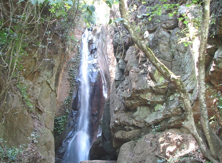 Gombe Stream National Park – photo 2