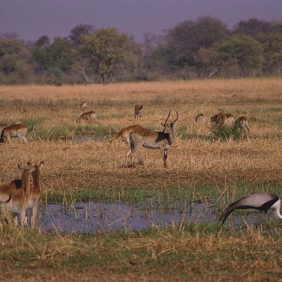 Ibanda-Kyerwa National Park