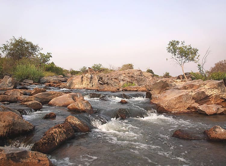 6 Days Katavi National Park safari