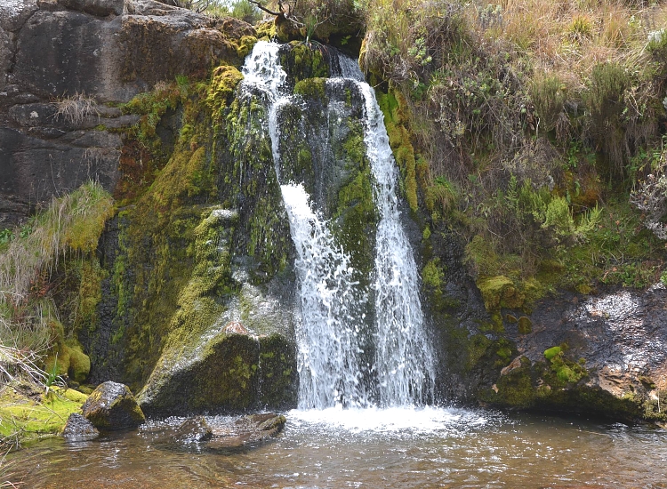 Kitulo National Park – photo 5