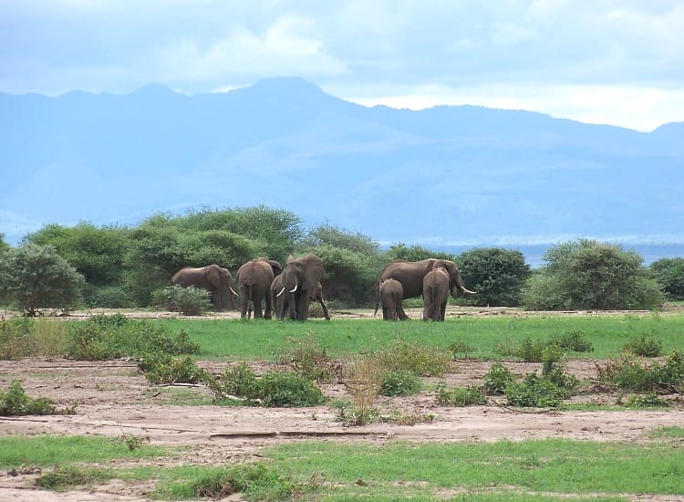 Lake Manyara National Park – photo 1