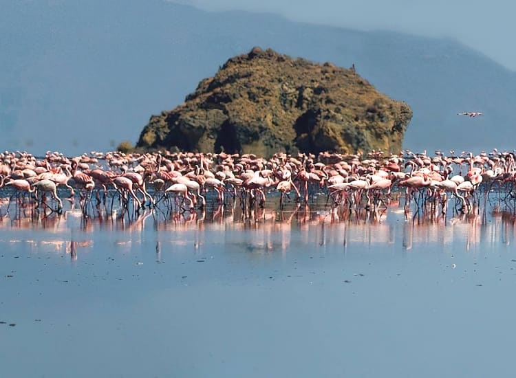 Lake Natron – photo 1