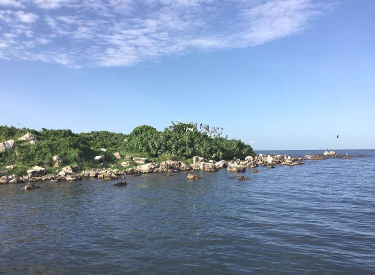 Mahale Mountains National Park – photo 2