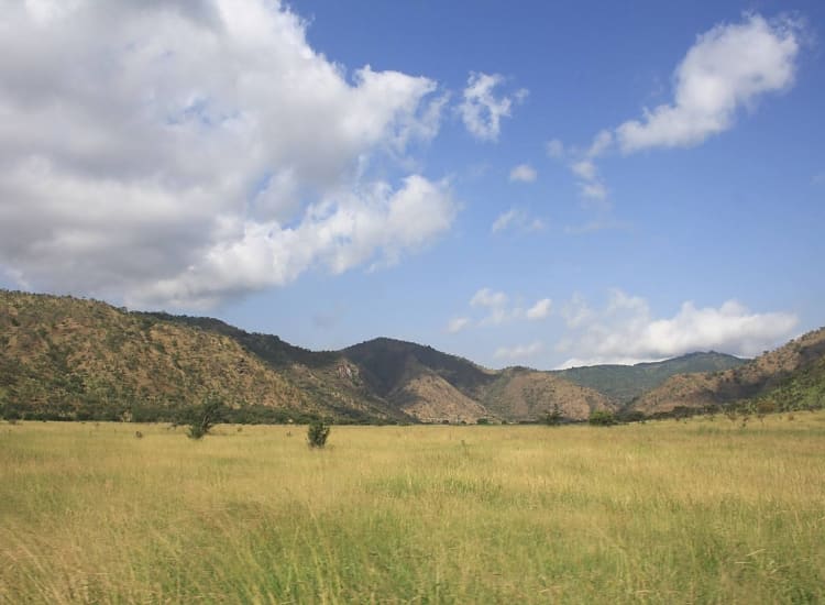 Mkomazi National Park – photo 2