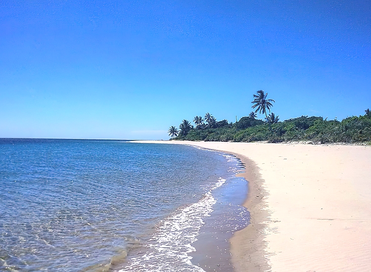 Mnazi Bay - Ruvuma Estuary Marine Park – photo 5