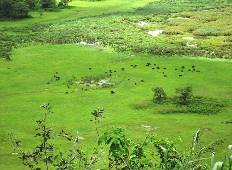 Ngurdoto Crater – photo 3