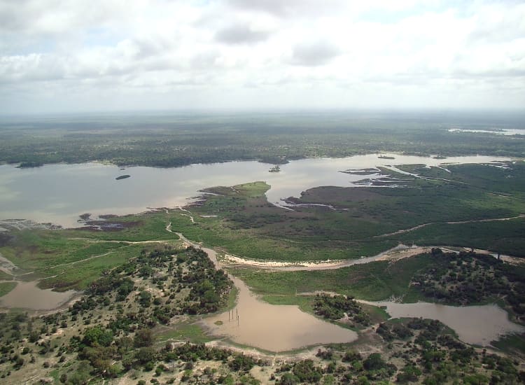 Nyerere National Park boat safari on the Rufiji River