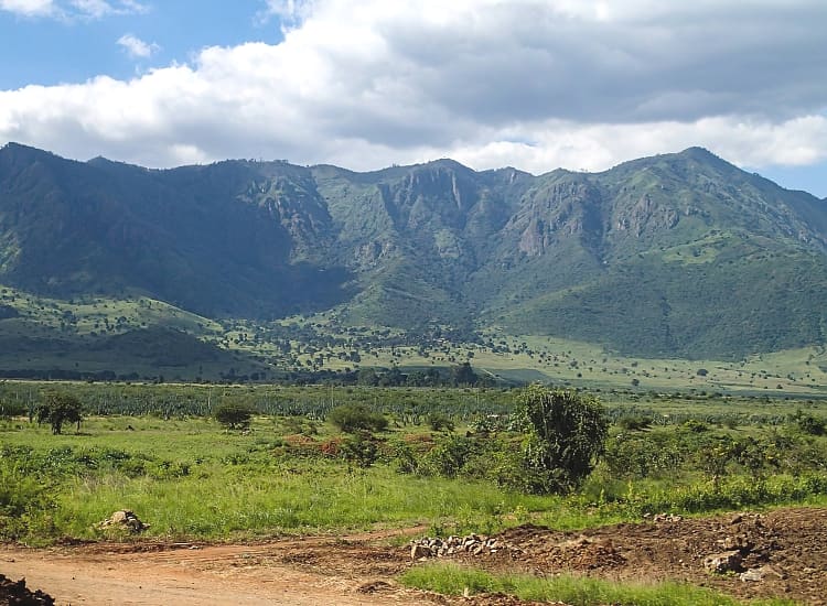 Pare Mountains – photo 1