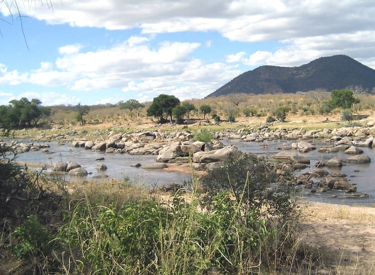 Ruaha National Park – photo 2