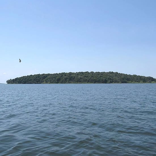 Rubondo Island National Park