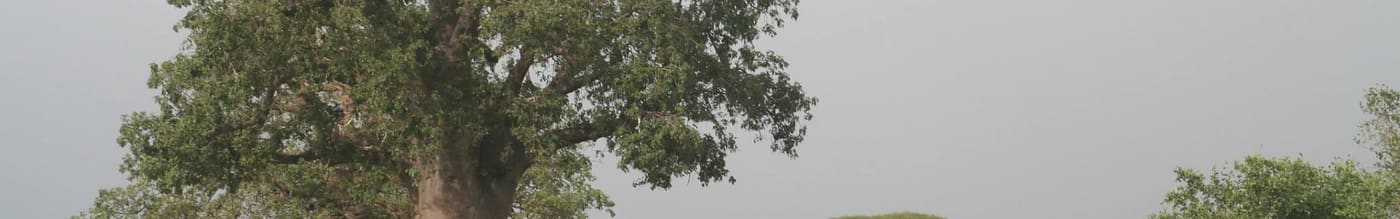 Tarangire National Park – photo 2