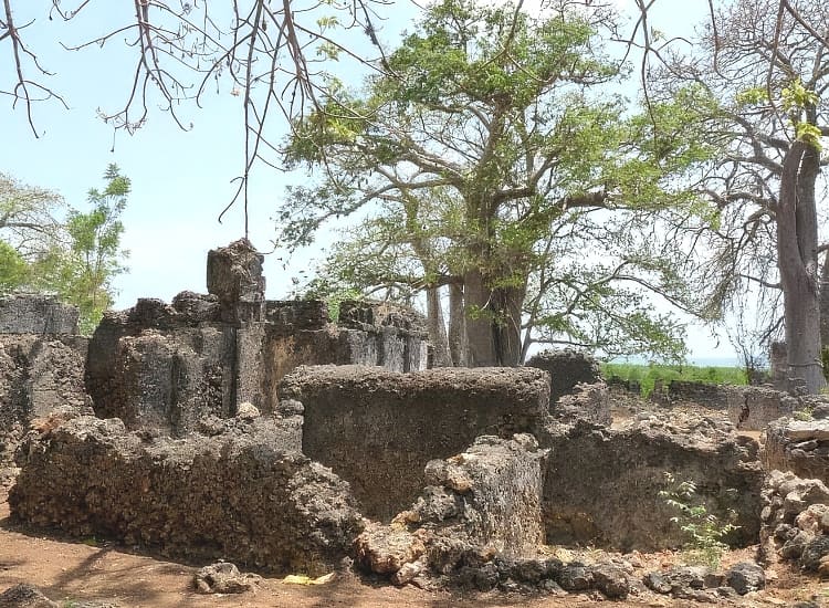 Tongoni Ruins, Tanga – photo 1