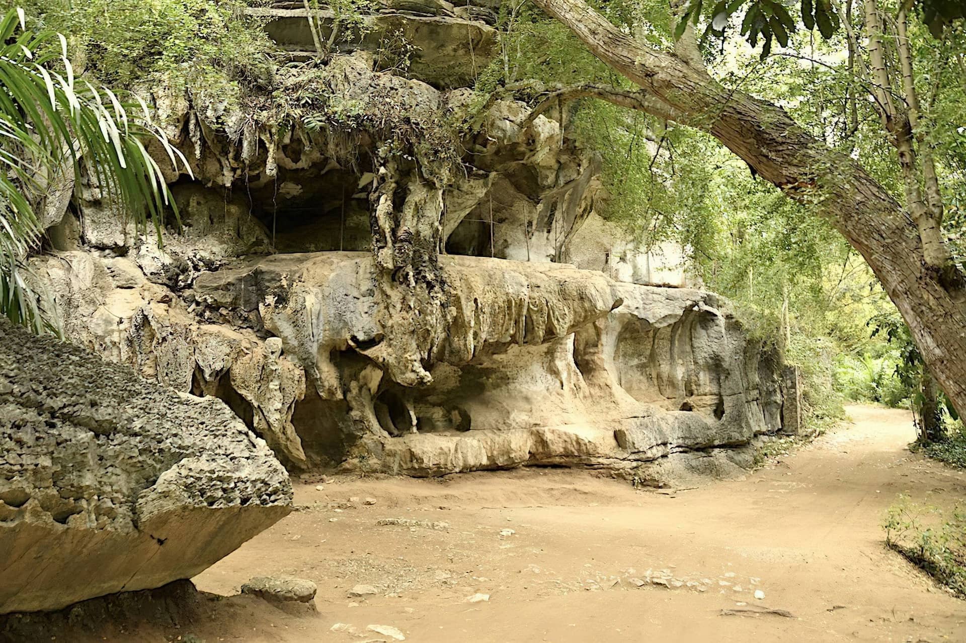 Tanga Marine Park & Reserves