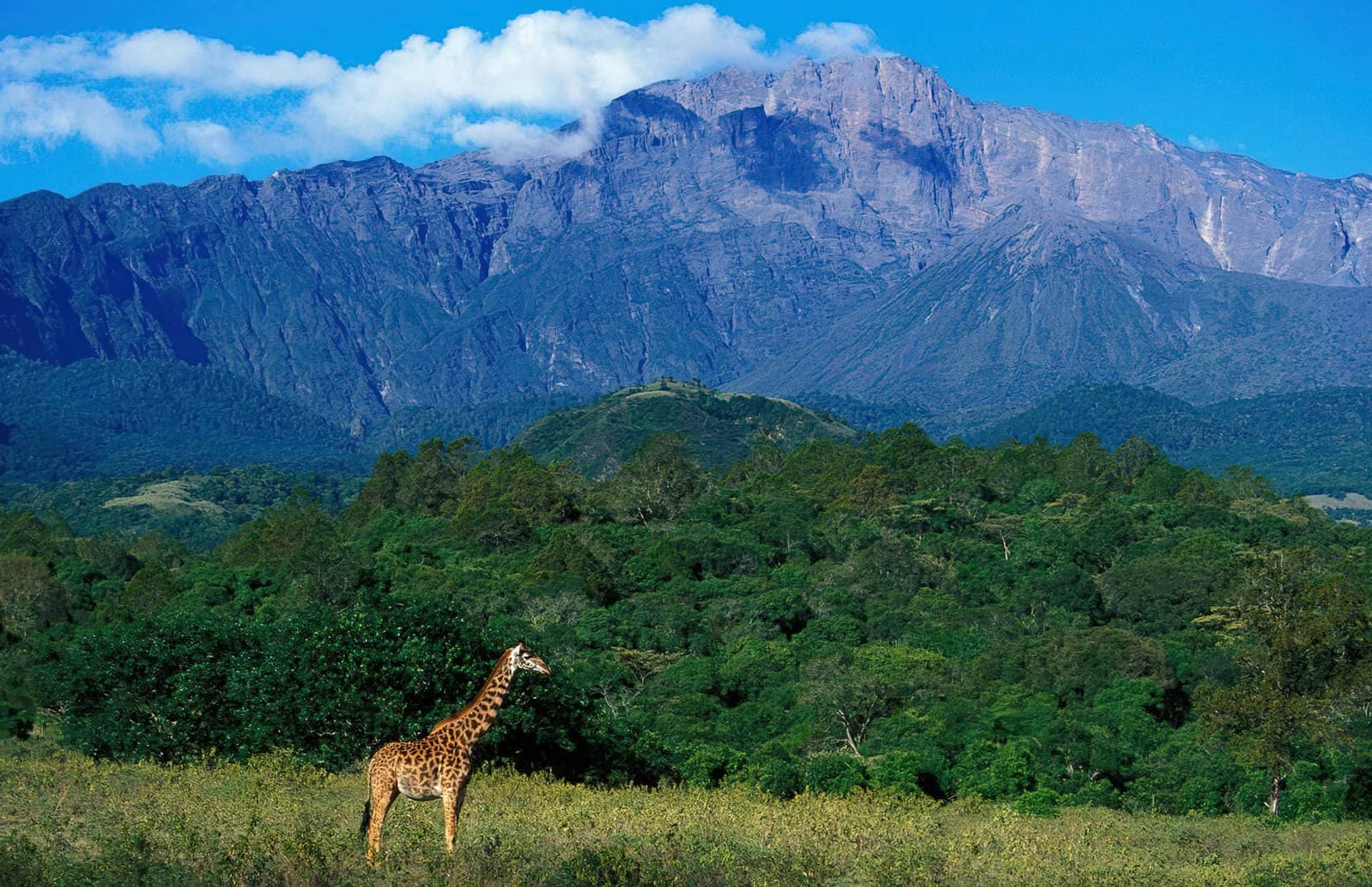 3 Days Mount Meru Climb