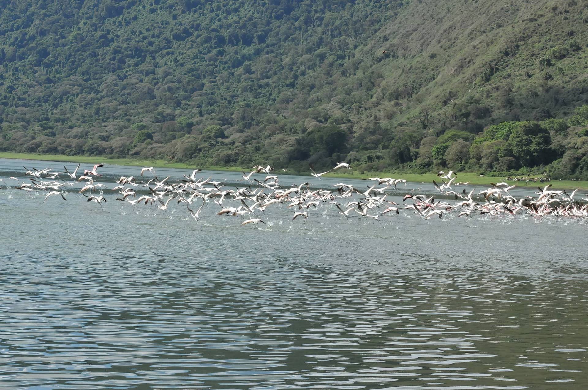 5 Days Hiking to Ngorongoro Highlands