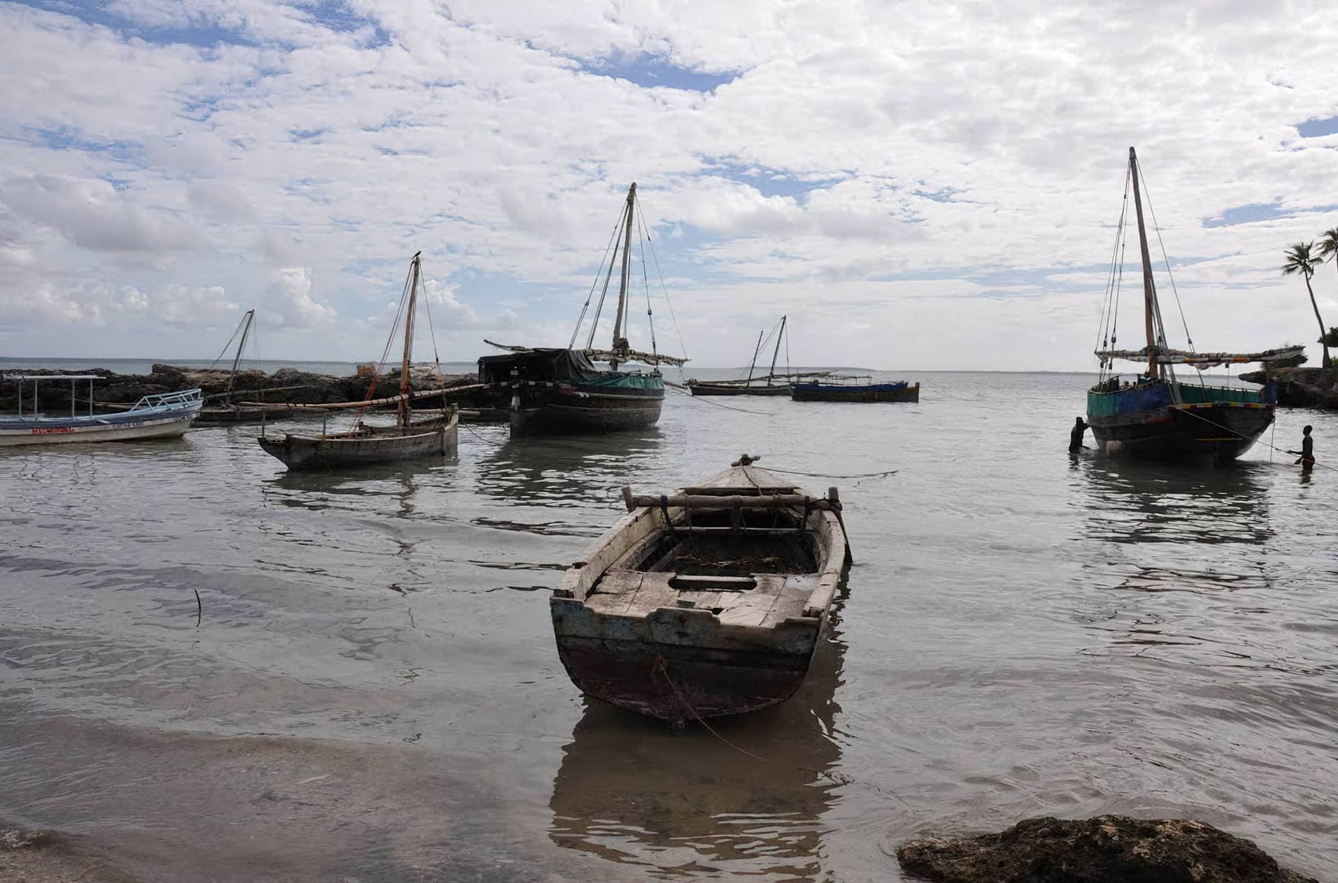 Jibondo Island Dhow Excursion, Mafia