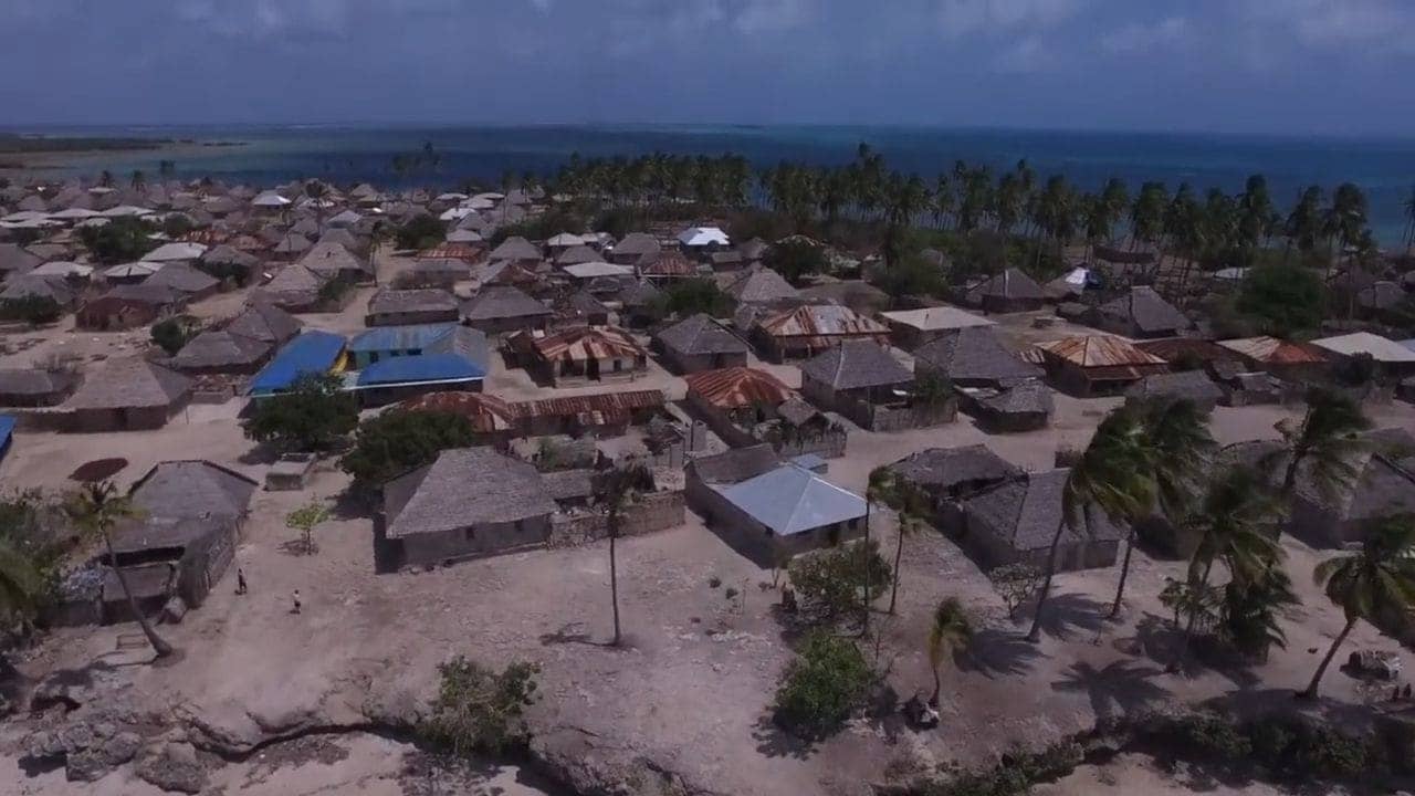 Jibondo Island Dhow Excursion, Mafia