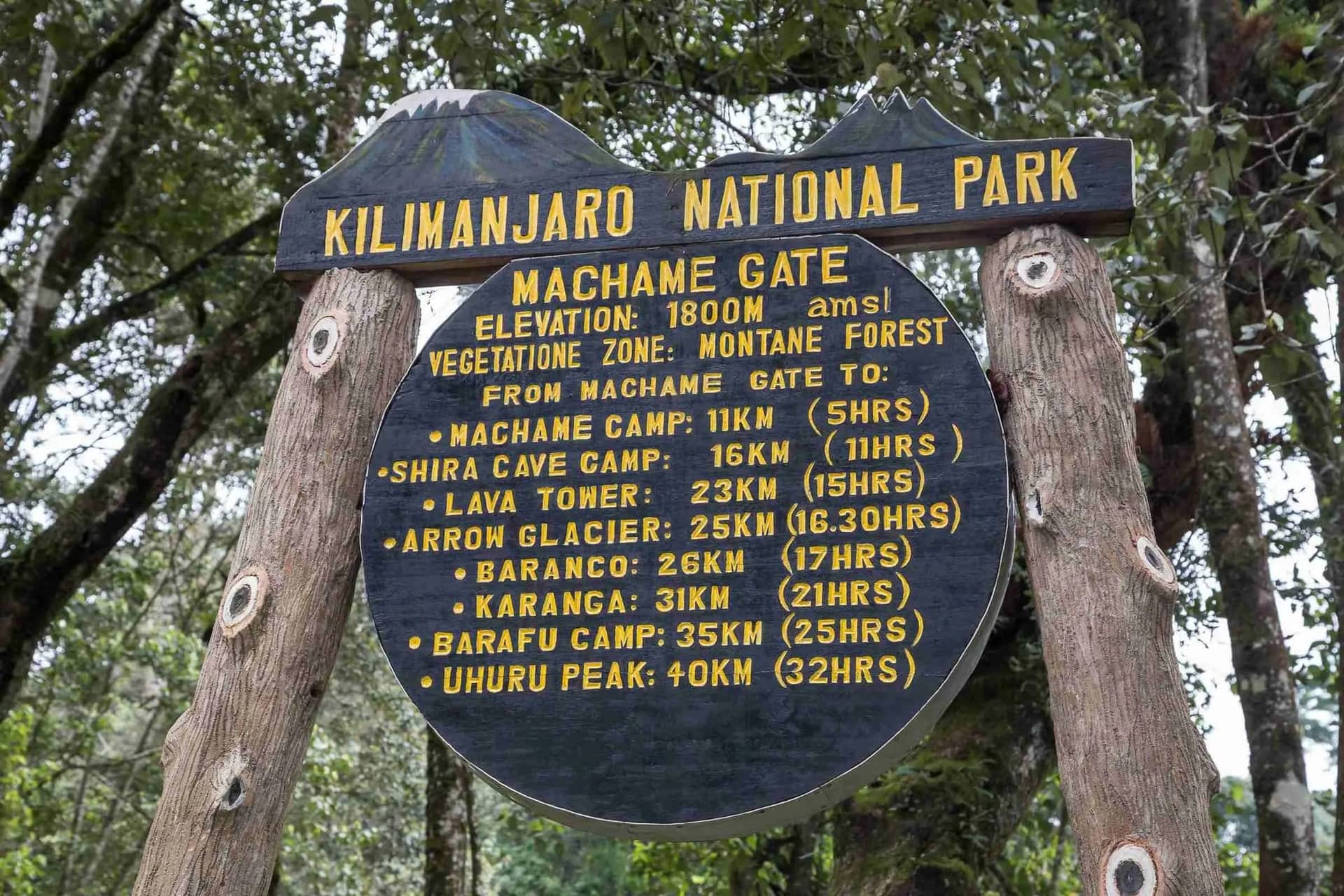 11 Days Kilimanjaro Machame Climb & Northern Safari