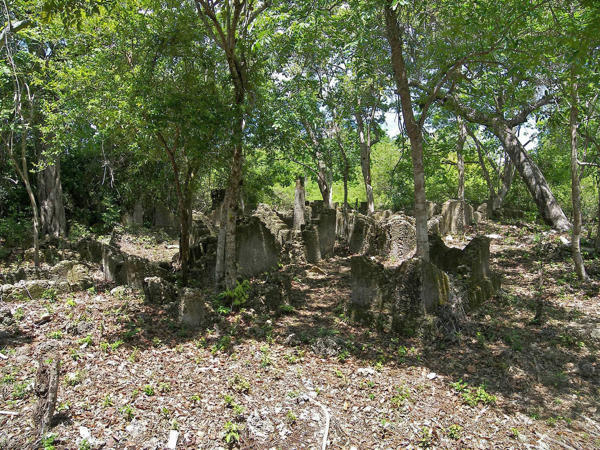 Kua Ruins Tour, Mafia Island