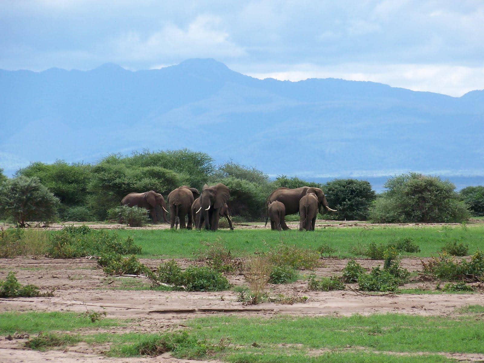 Lake Manyara National Park