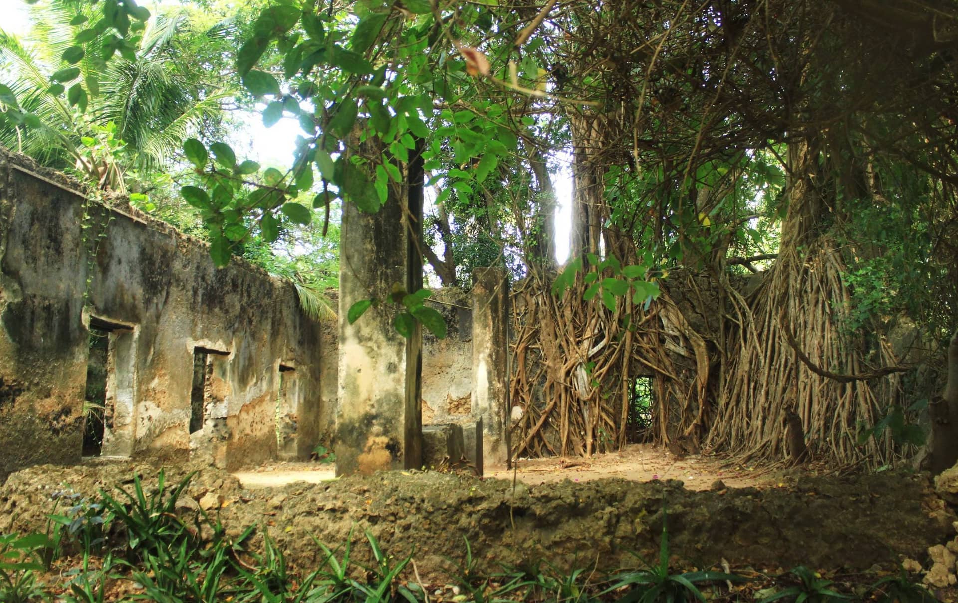 Chole Island