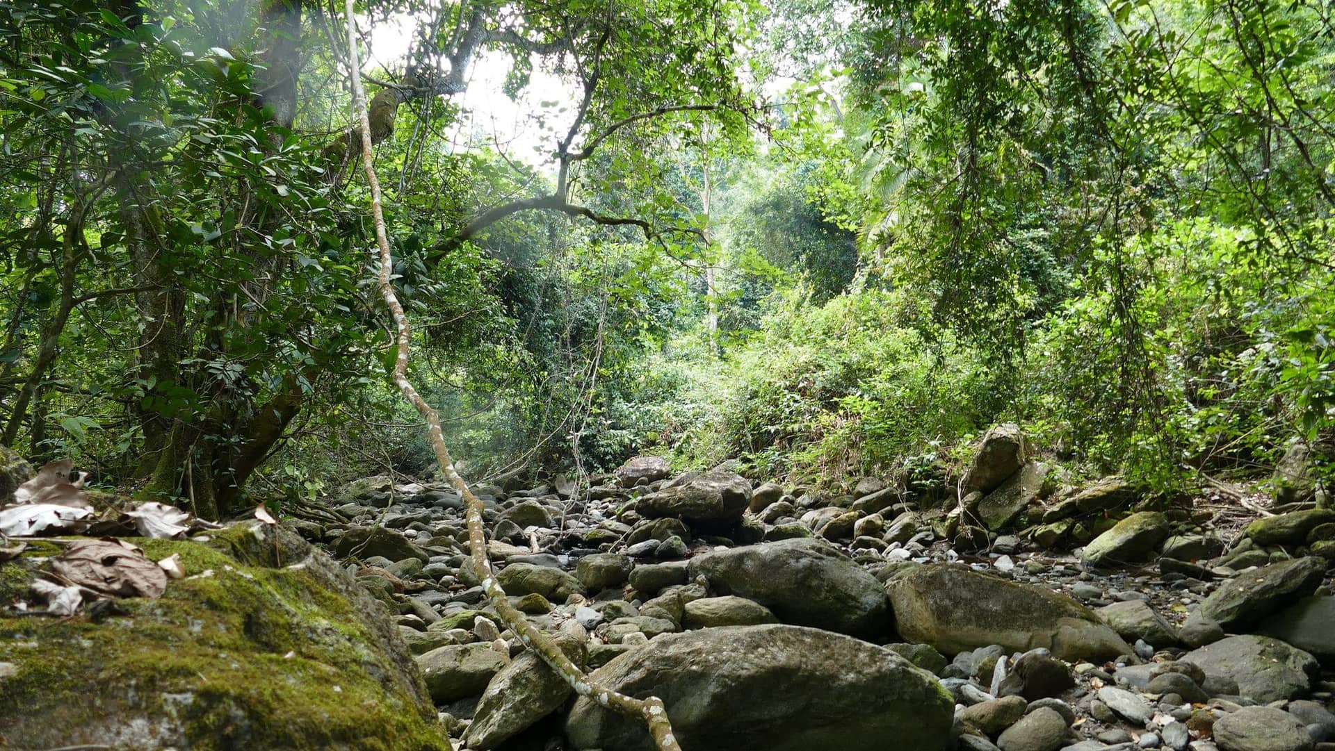 Mahale Mountains National Park