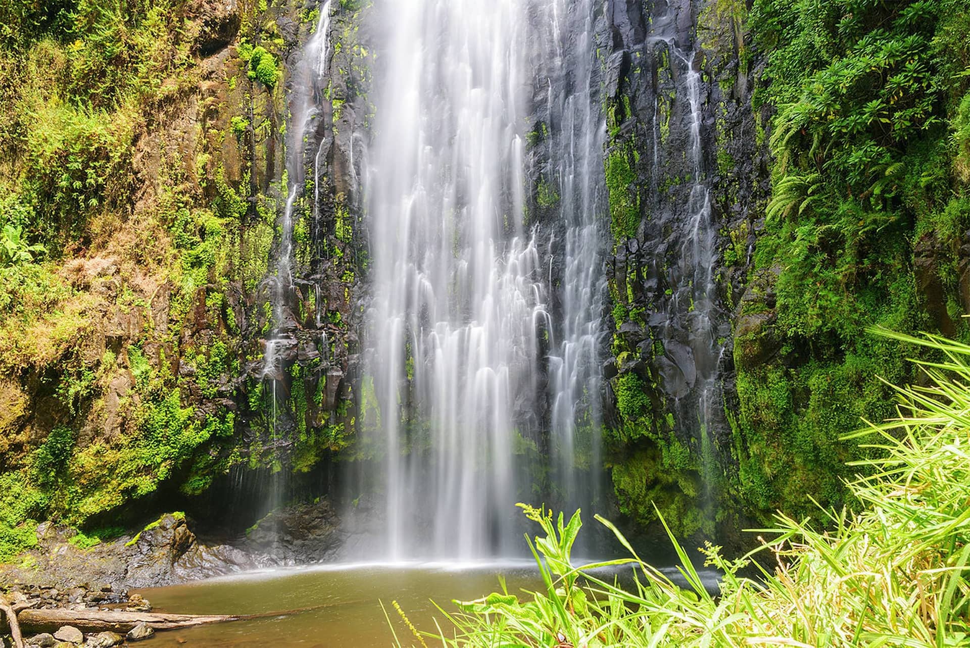 10 Days Wild Tanzania: Culture, Big 5 & Gombe Chimpanzees