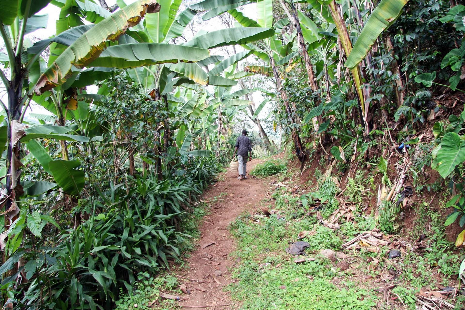 10 Days Wild Tanzania: Culture, Big 5 & Gombe Chimpanzees