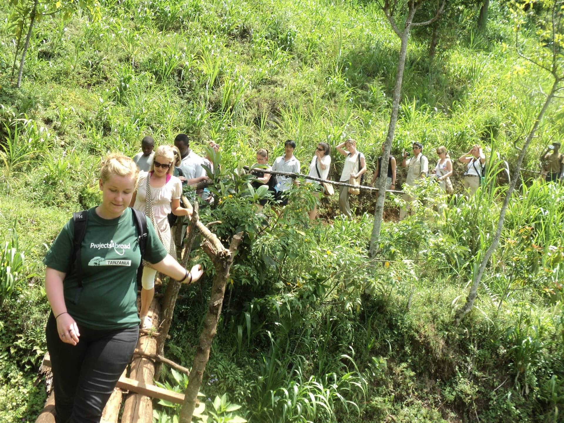 3-Day Budget Private Safari in Tanzania – Tarangire, Ngorongoro & Materuni Waterfall