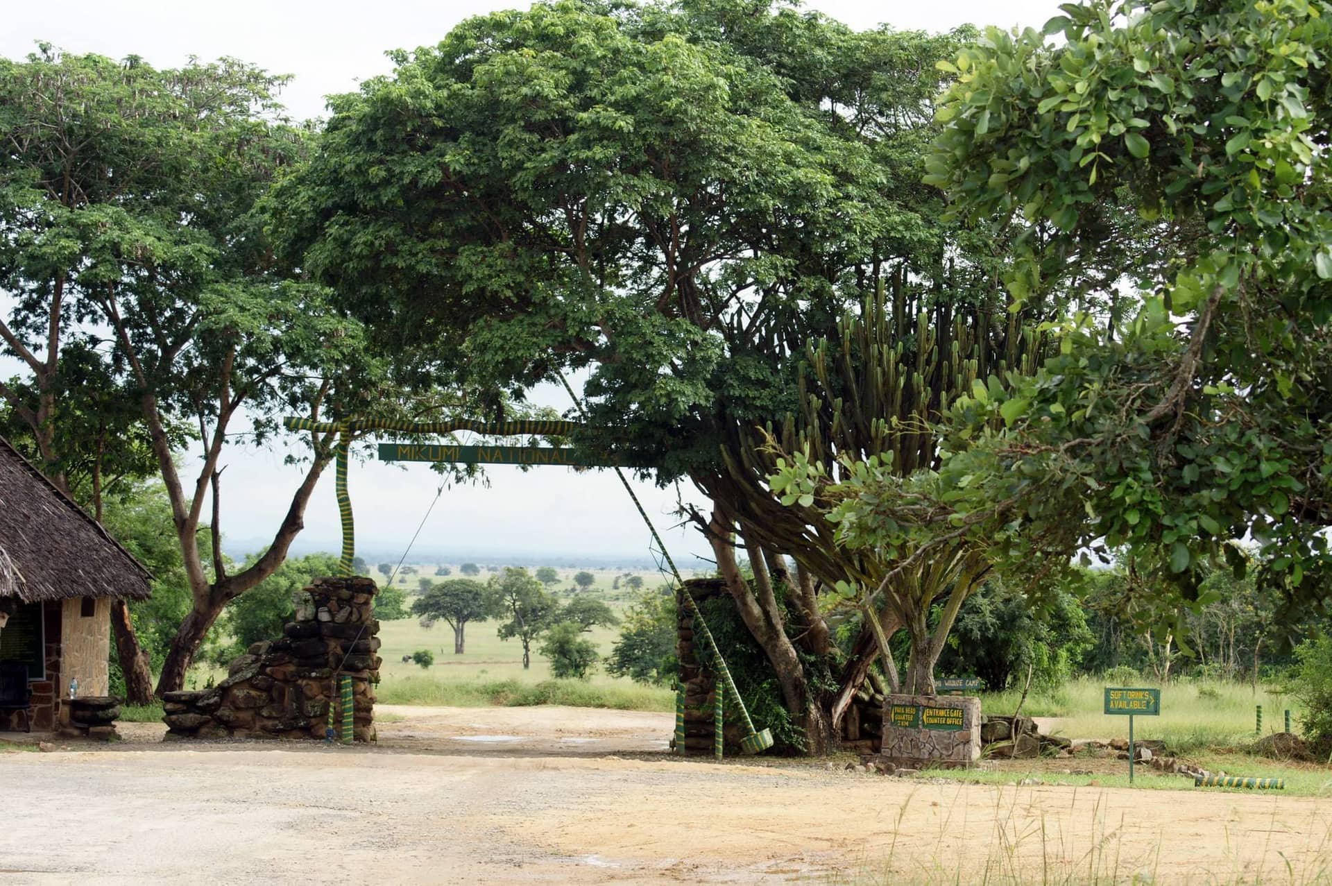 Mikumi National Park
