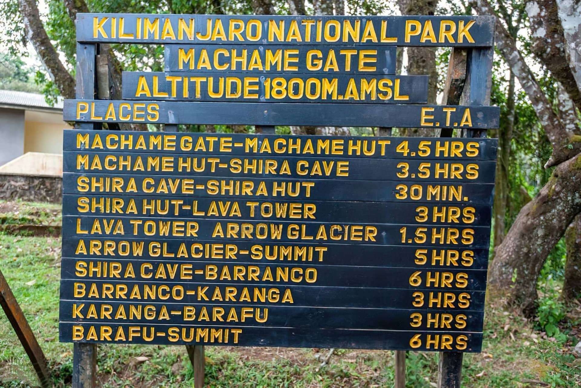 10 Days Kilimanjaro Lemosho Route Climb