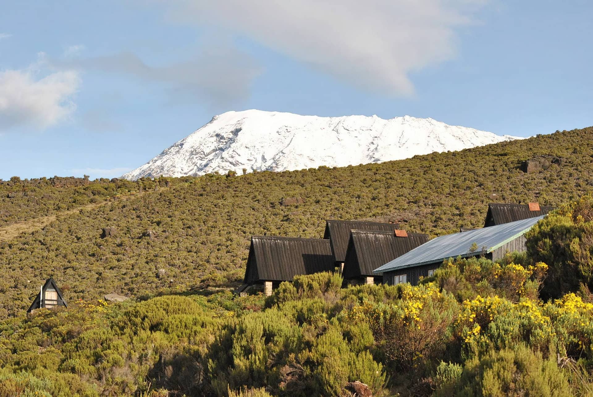9 Days Kilimanjaro Lemosho Route – Group Climb