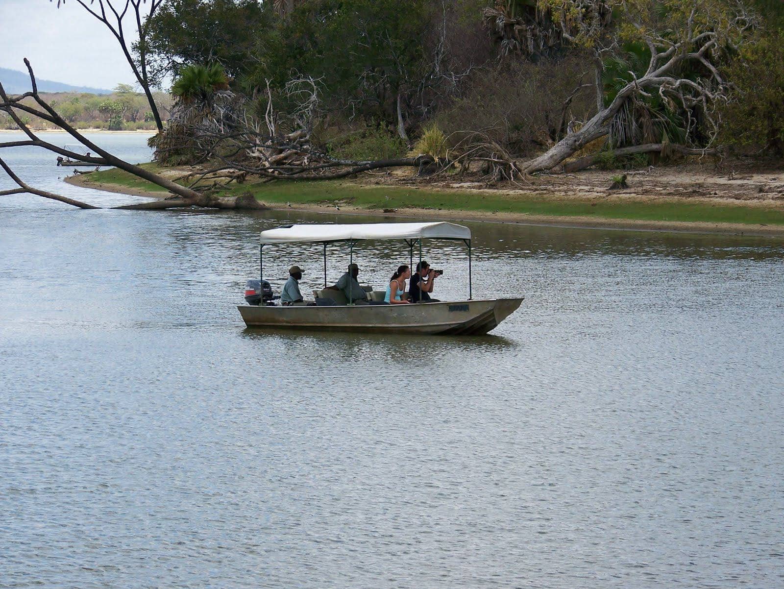 4 Days Nyerere & Mikumi Safari