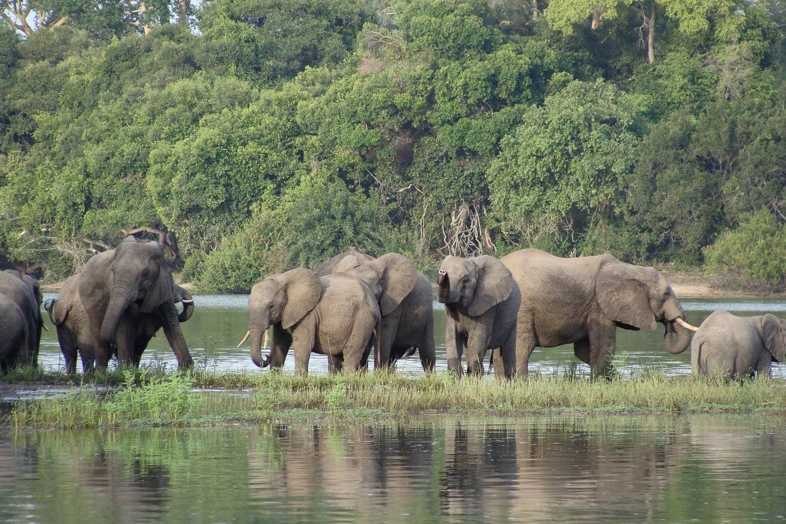 3 Day Safari to Nyerere National Park