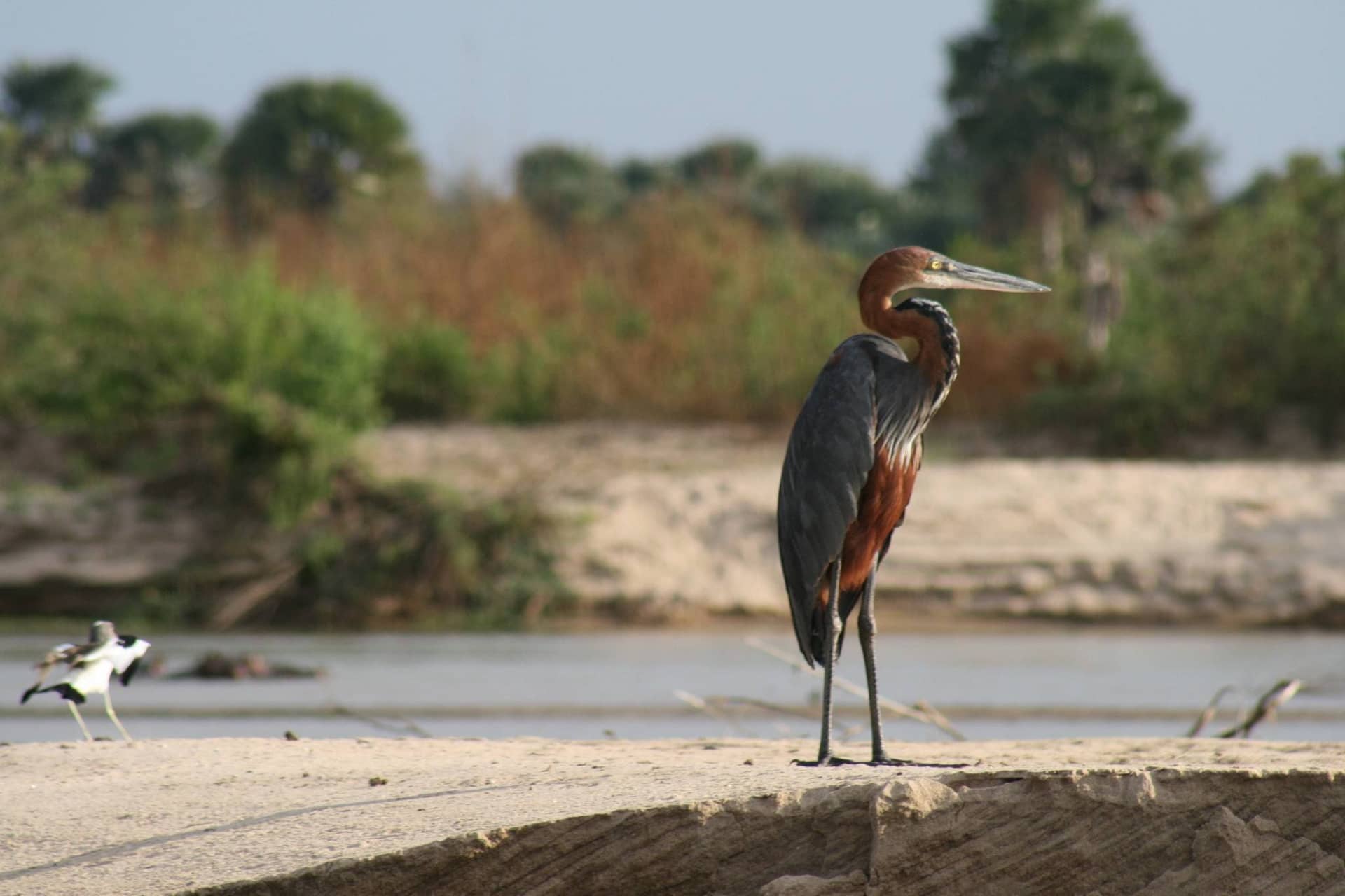 Nyerere National Park