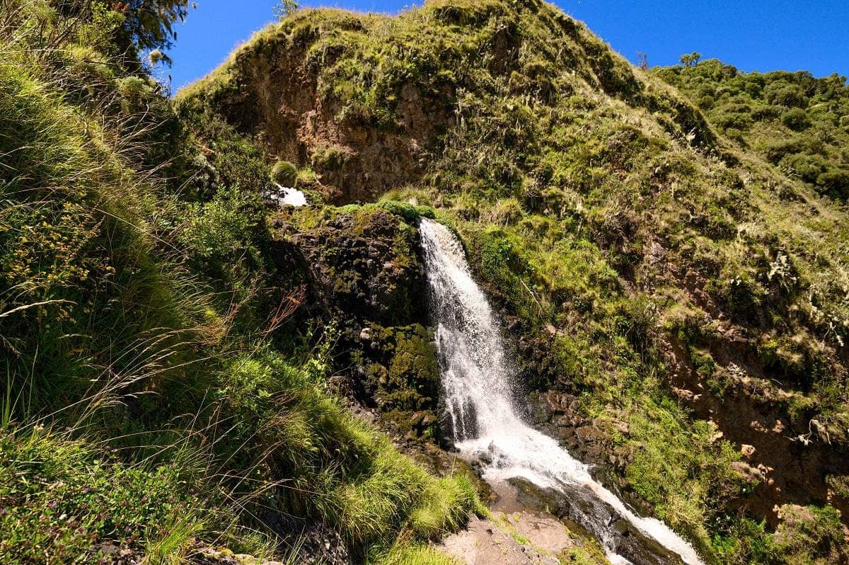 8 Days Hiking to Ngorongoro Highlands and Oldoinyo Lengai Trekking