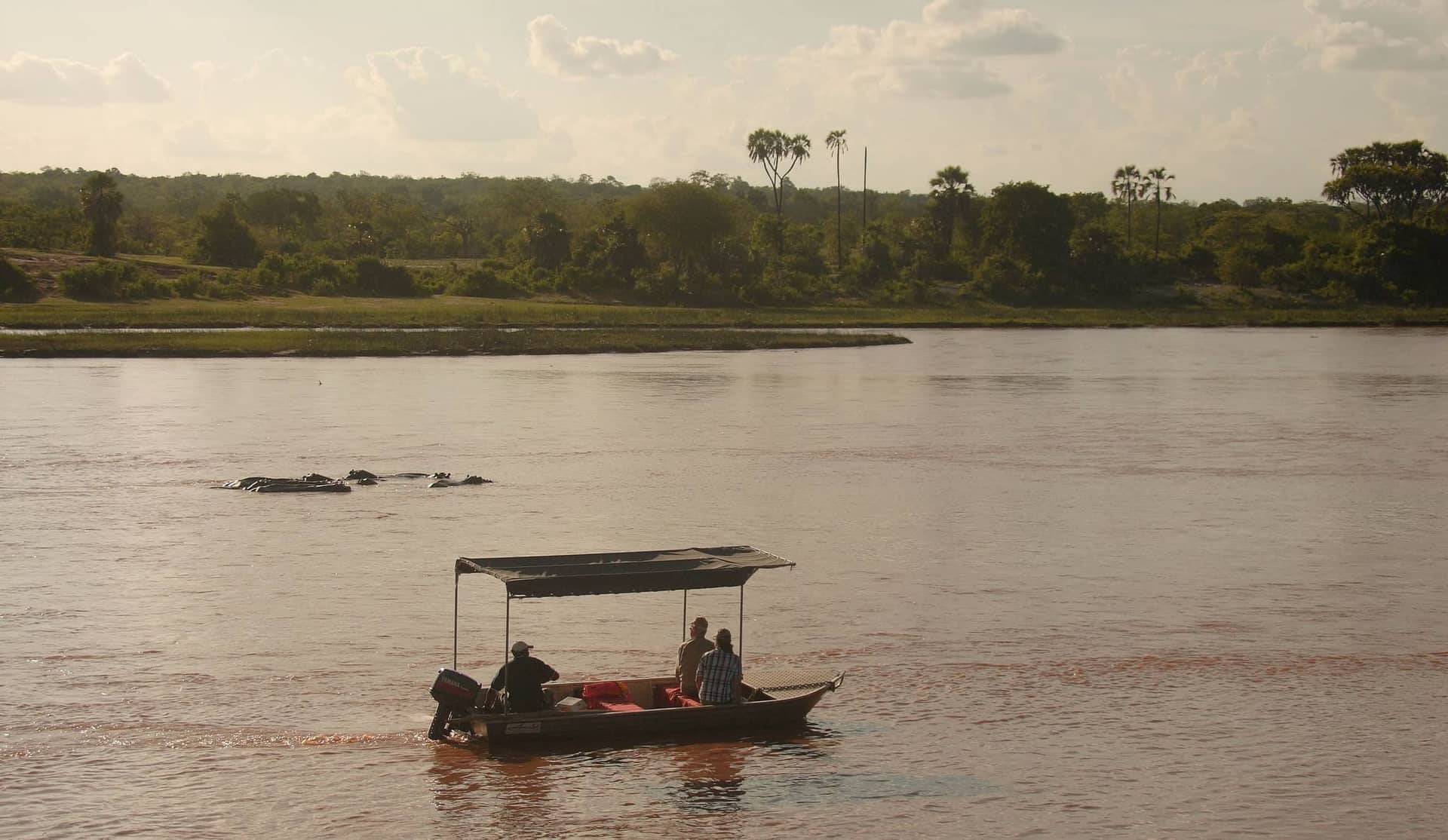 Ruaha National Park