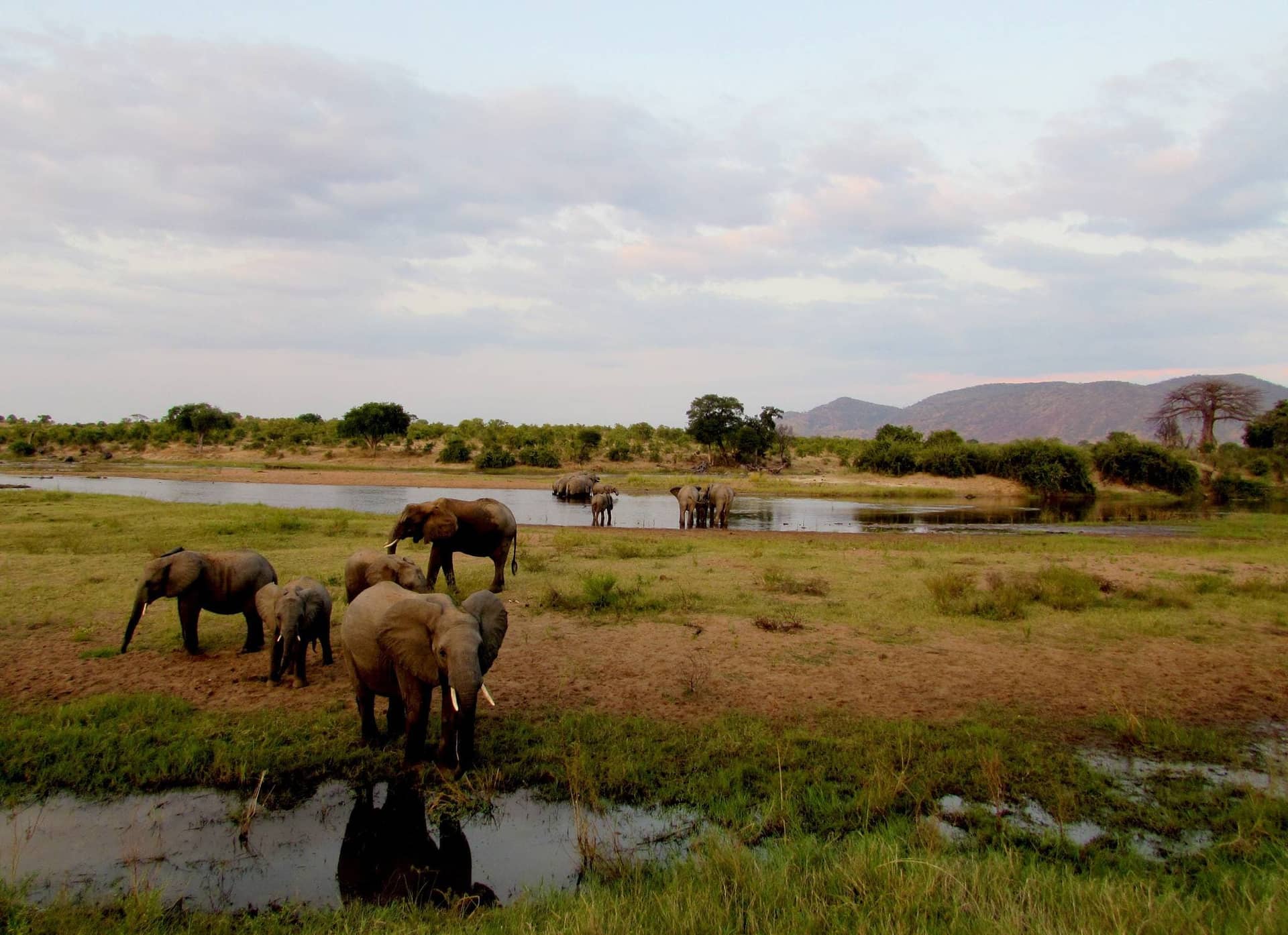 3 Days Safari to Ruaha National Park