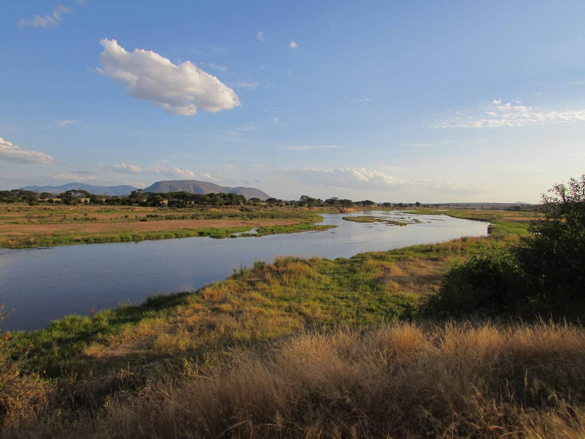 7 Days Safari to Ruaha, Udzungwa and Mikumi National Parks