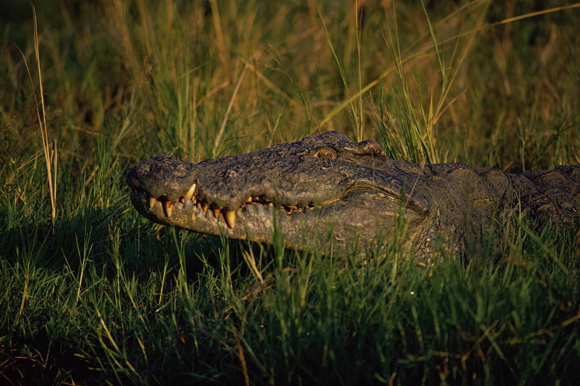 3 Days Safari to Saadani National Park