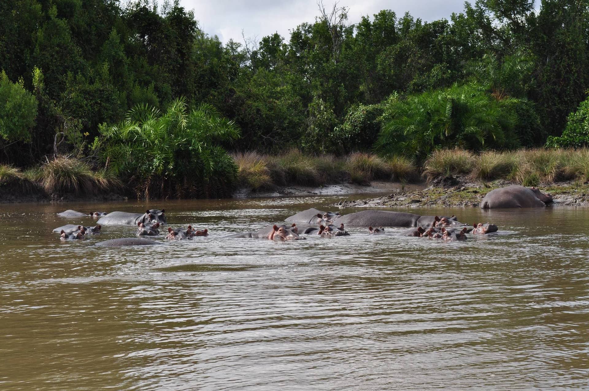 3 Days Safari to Saadani National Park