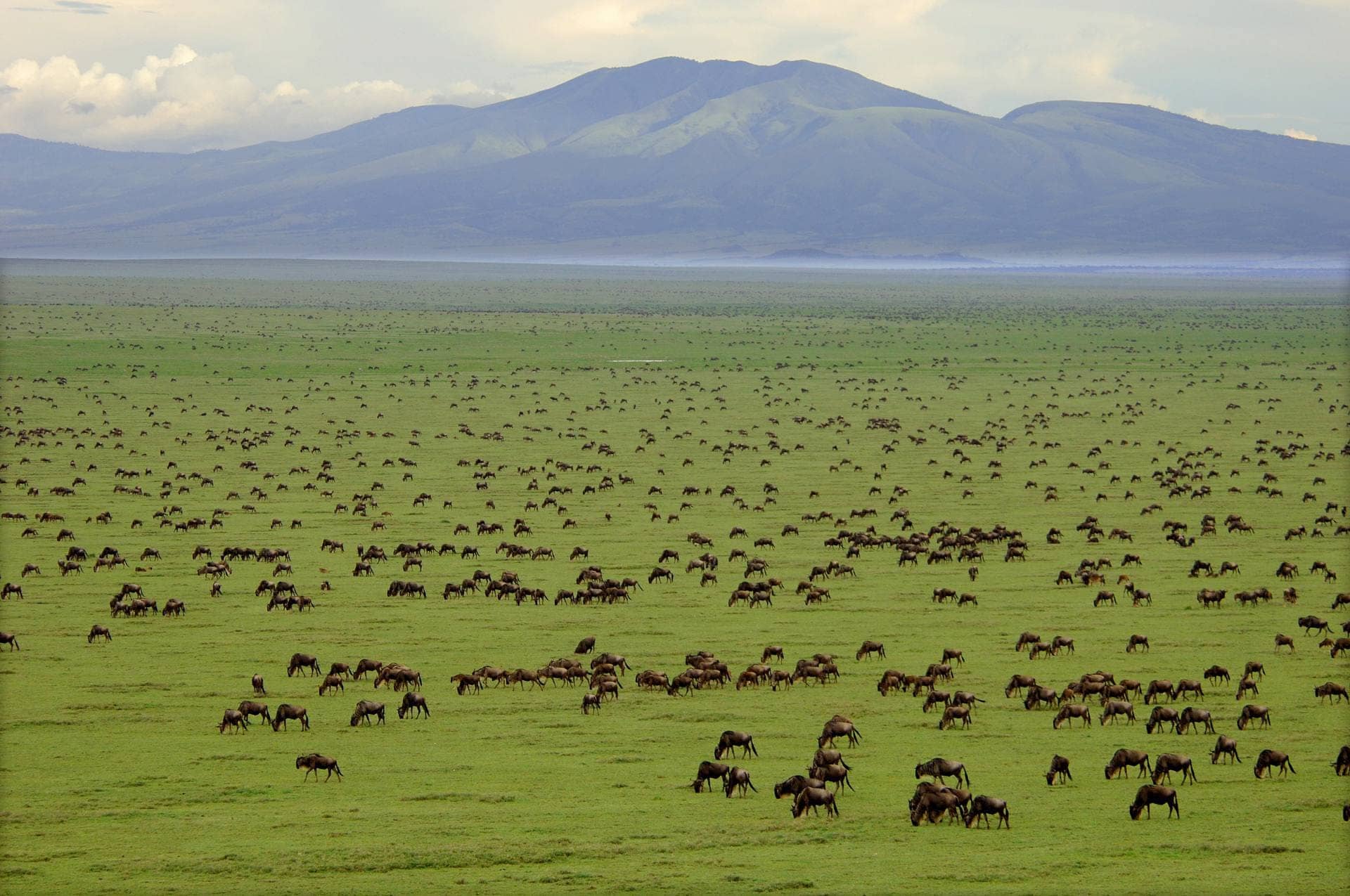 3 Days to Serengeti National Park