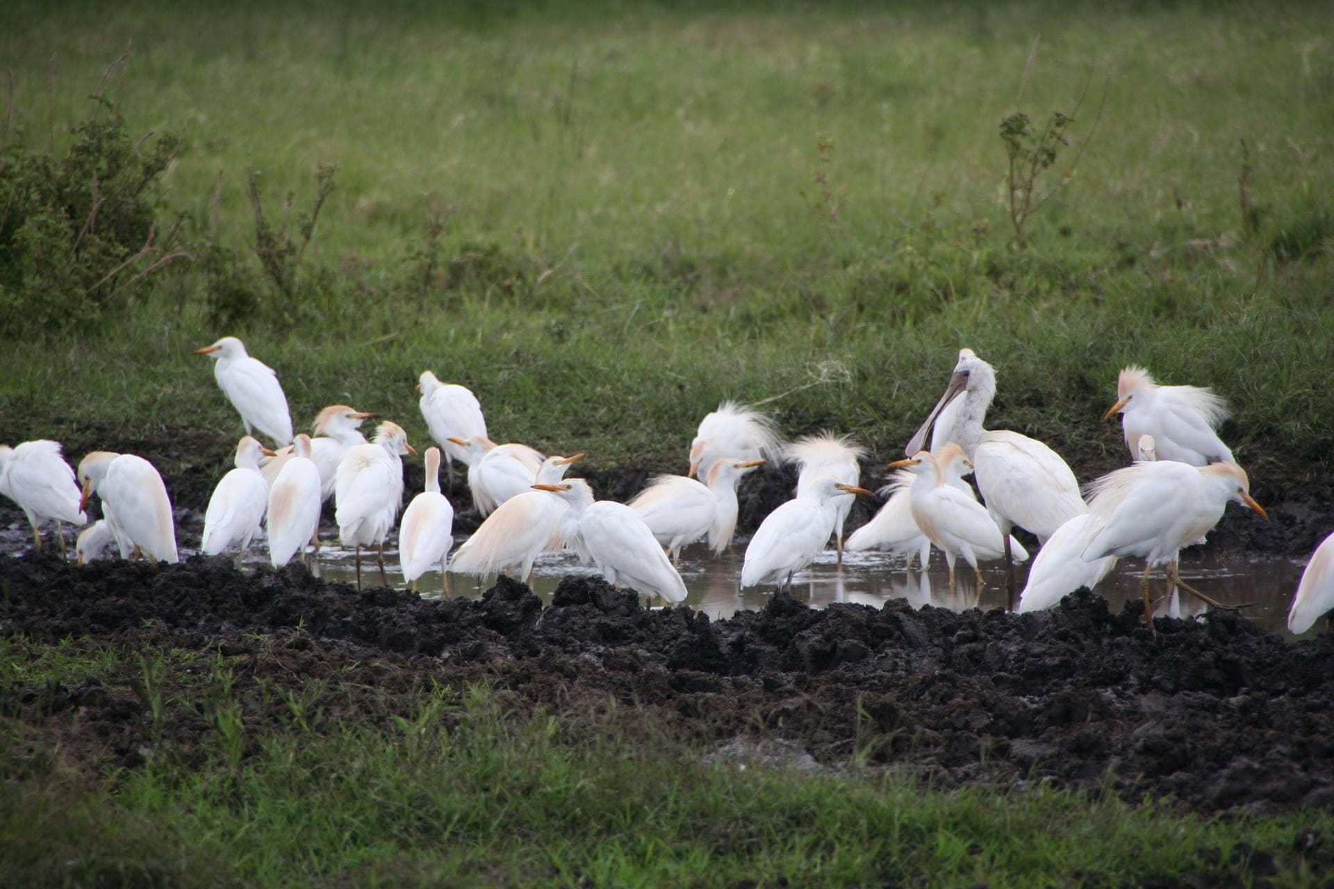 3 Days to Serengeti National Park